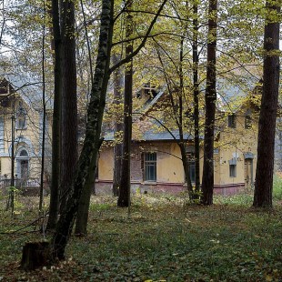 Фотография Морозовская Дача