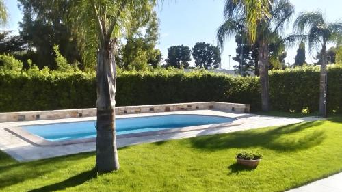 Фотография мини отеля B&B Albero Del Miglio