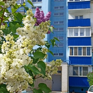 Фотография квартиры Апартаменты Комфорт и домашний уют 116