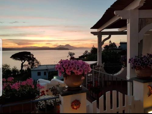 Фотография мини отеля b&b Dea Fortuna