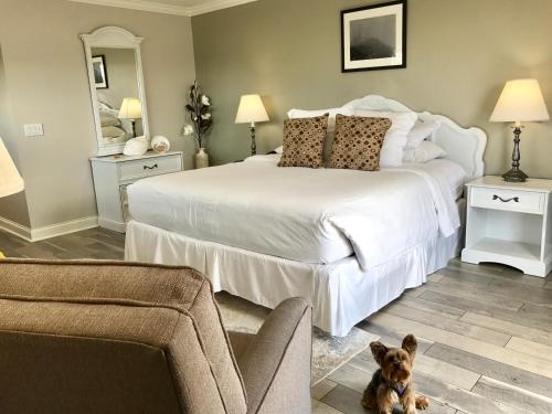 Фотография мотеля Kenny's Tipperary Inn