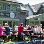 Фотография мини отеля Oak Tree Inn