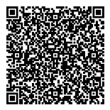 QR код достопримечательности Московский мост