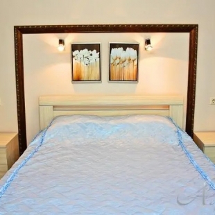 Фотография квартиры Альянс на улице Горького 140