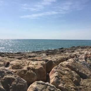 Фотографии гостевого дома 
            La Casita Blanca