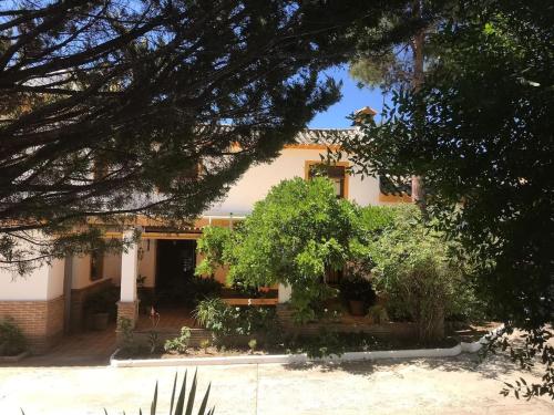 Фотография гостевого дома Paredejas del Rey