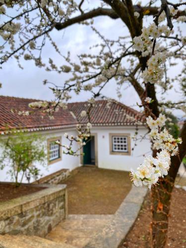 Фотография гостевого дома Turra Nature House