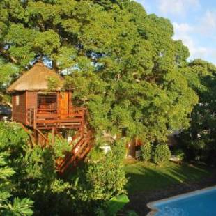 Фотографии гостевого дома 
            Tree Lodge Mauritius