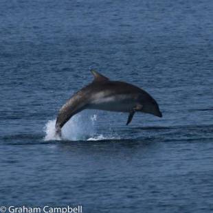 Фотографии мини отеля
Kintrae B&B