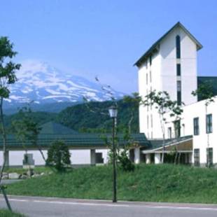 Фотографии гостиницы 
            Chokai Sarukuraonsen Hotel Foresta Chokai