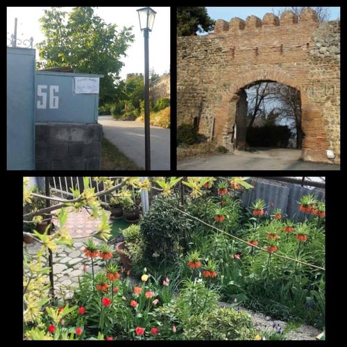 Фотография мини отеля Домашний