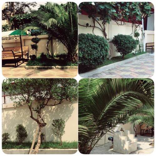 Фотография гостиницы Gonio Beach Hotel