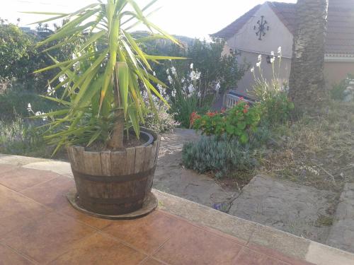 Фотография гостевого дома Pensión Amparo Las Hayas