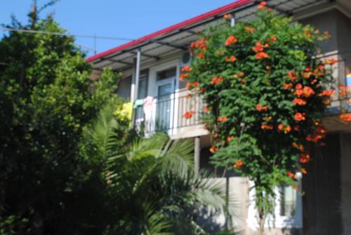 Фотографии гостевого дома
Giga Guest House