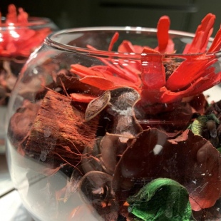 Фотография квартиры NewStory (НьюСтори) в 1-м микрорайоне