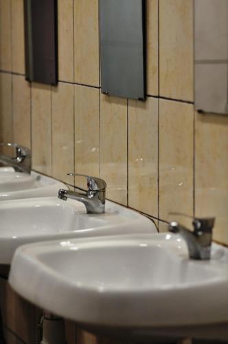 Фотографии хостела
Вежливый Лось на ВДНХ