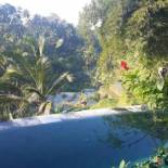 Фотография гостевого дома Villa Wedang