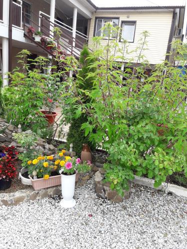 Фотография гостевого дома Татьяна