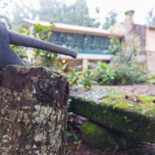 Фотографии гостиницы 
            Casa Do Cribeiro