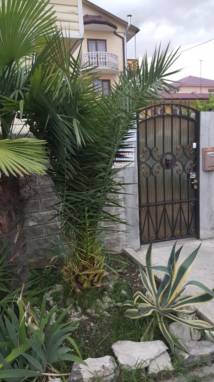 Фотография гостевого дома Надежда