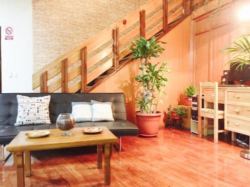 Фотография хостела Quito Terrace