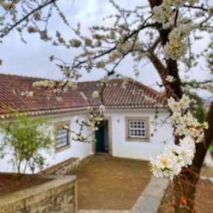 Фотография гостевого дома Turra Nature House