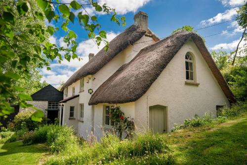 Фотография гостевого дома Weeke Brook - Quintessential thatched luxury Devon cottage