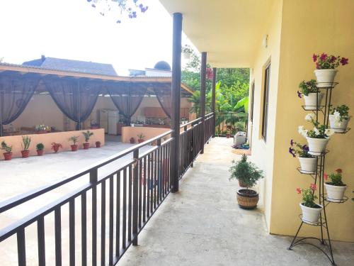 Фотография гостевого дома Зефир