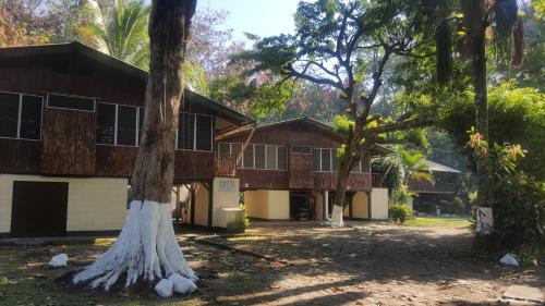 Фотография гостиницы Hotel La Colonia