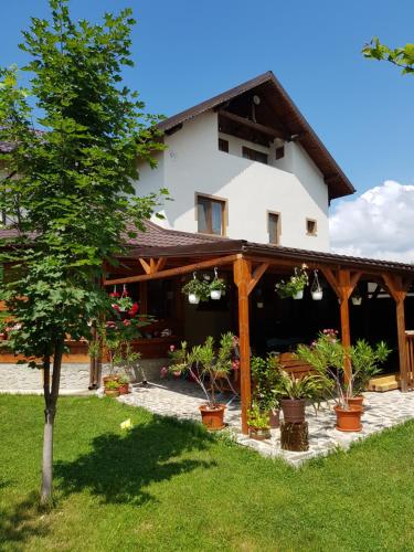 Фотография гостевого дома Casa de vacanta Macovei0744