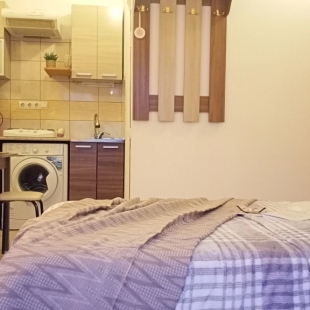 Фотография квартиры Квартира Студия на Берегу Озера с Лебедями