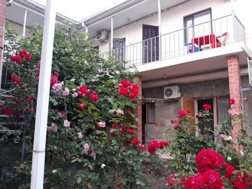 Фотография гостевого дома ДРУЗЬЯ