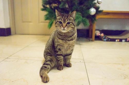 Фотография хостела Beewon Guesthouse