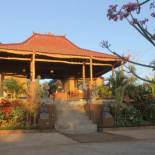 Фотография мини отеля Eliska Sari Bungalows Sumberkima