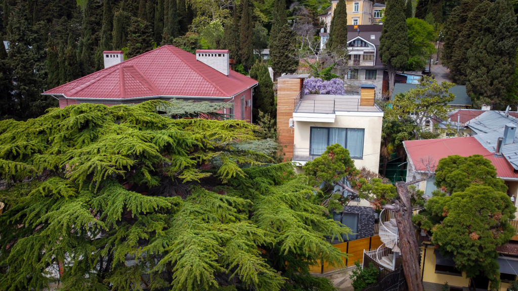 Фотография квартиры Апартаменты Журавли