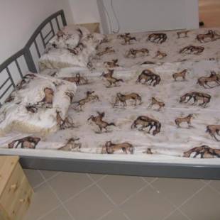 Фотографии гостевого дома
Kárpáti Motel