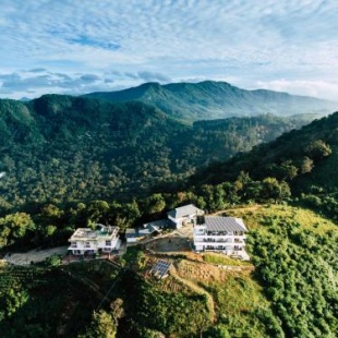 Фотография гостиницы Forest County