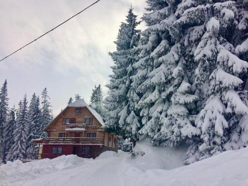 Фотография мини отеля Плай