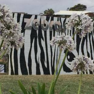 Фотографии гостевого дома 
            Zebras Guesthouse