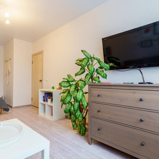 Фотографии квартиры
LetoApart (ЛетоАпарт) по проспекту Ленина 52А-463