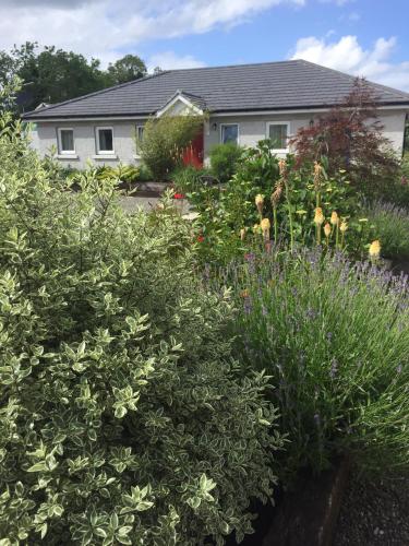 Фотография гостевого дома Kilcloon Self Catering Cottages & Studios