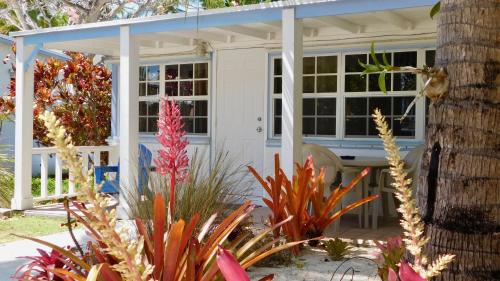 Фотография гостиницы Pines & Palms Resort