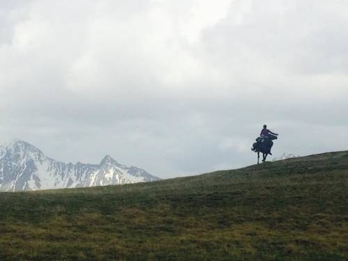 Фотография мини отеля Chanterelle