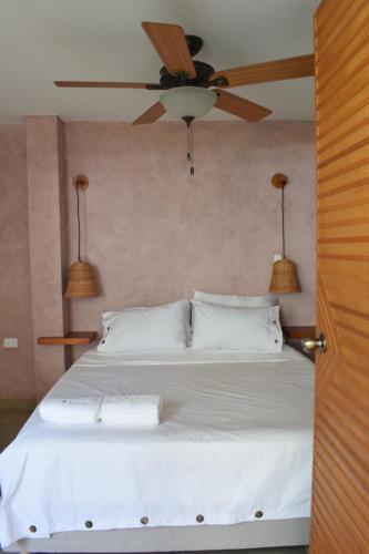 Фотография мини отеля Hotel Casa Madre