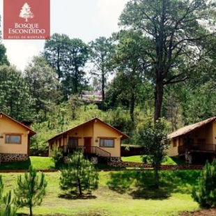 Фотография гостиницы Bosque Escondido