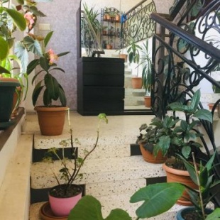 Фотография гостевого дома Zugdidi