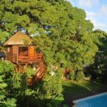 Фотография гостевого дома Tree Lodge Mauritius