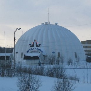 Фотография музея Мурманский океанариум