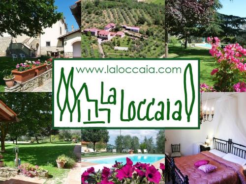 Фотография мини отеля B&B La Loccaia