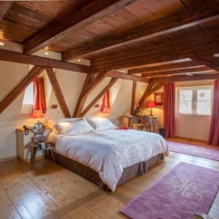 Фотография гостиницы Hôtel & Spa Le Bouclier D'or